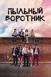 Пыльник воротник турецкий сериал